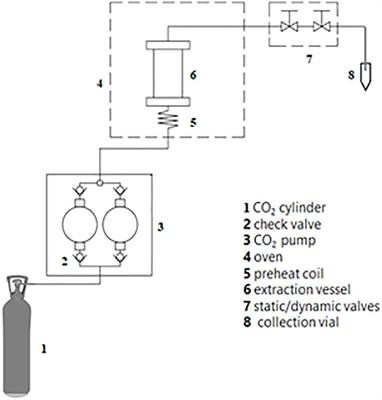 Fucoxanthin and Phenolic Contents of Six Dictyotales From the Tunisian Coasts With an Emphasis for a Green Extraction Using a Supercritical CO2 Method